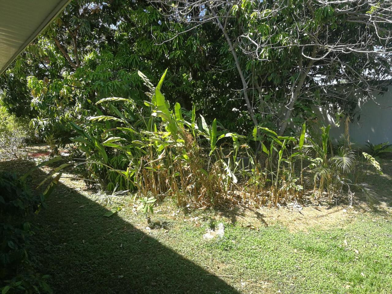 Hotel Nicoya Exterior photo